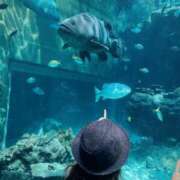 ヒメ日記 2025/02/07 11:17 投稿 倉田 ミオン 熟女・人妻マダム宮殿