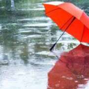 ヒメ日記 2025/03/04 13:45 投稿 倉田 ミオン 熟女・人妻マダム宮殿