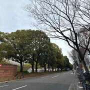 ヒメ日記 2025/03/14 08:45 投稿 倉田 ミオン 熟女・人妻マダム宮殿