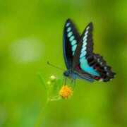 ヒメ日記 2025/03/16 00:06 投稿 倉田 ミオン 熟女・人妻マダム宮殿