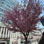 ヒメ日記 2025/03/18 15:30 投稿 倉田 ミオン 熟女・人妻マダム宮殿