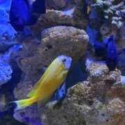 ヒメ日記 2025/03/19 01:06 投稿 倉田 ミオン 熟女・人妻マダム宮殿