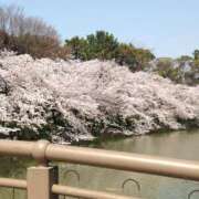 ヒメ日記 2025/03/23 19:15 投稿 倉田 ミオン 熟女・人妻マダム宮殿