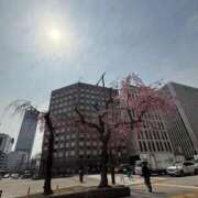 ヒメ日記 2025/03/24 12:05 投稿 倉田 ミオン 熟女・人妻マダム宮殿