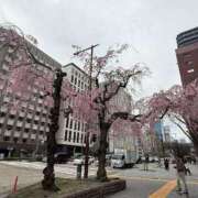 ヒメ日記 2025/03/28 20:16 投稿 倉田 ミオン 熟女・人妻マダム宮殿