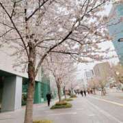 ヒメ日記 2025/03/29 12:57 投稿 倉田 ミオン 熟女・人妻マダム宮殿