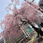 ヒメ日記 2025/03/30 09:48 投稿 倉田 ミオン 熟女・人妻マダム宮殿