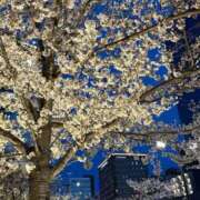 ヒメ日記 2025/03/30 20:38 投稿 倉田 ミオン 熟女・人妻マダム宮殿