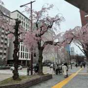 ヒメ日記 2025/04/01 16:40 投稿 倉田 ミオン 熟女・人妻マダム宮殿