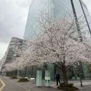 ヒメ日記 2025/04/04 08:38 投稿 倉田 ミオン 熟女・人妻マダム宮殿