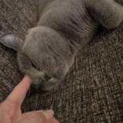 ヒメ日記 2025/04/06 23:45 投稿 倉田 ミオン 熟女・人妻マダム宮殿