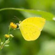 ヒメ日記 2025/04/08 16:02 投稿 倉田 ミオン 熟女・人妻マダム宮殿