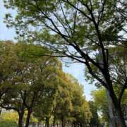 ヒメ日記 2025/04/11 08:41 投稿 倉田 ミオン 熟女・人妻マダム宮殿