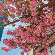 ヒメ日記 2025/04/14 23:45 投稿 倉田 ミオン 熟女・人妻マダム宮殿