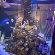 ヒメ日記 2025/04/23 00:37 投稿 倉田 ミオン 熟女・人妻マダム宮殿