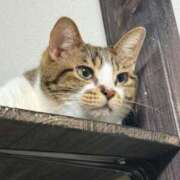 ヒメ日記 2025/05/03 19:03 投稿 倉田 ミオン 熟女・人妻マダム宮殿