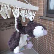 ヒメ日記 2025/05/09 12:05 投稿 倉田 ミオン 熟女・人妻マダム宮殿