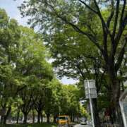 ヒメ日記 2025/05/13 09:44 投稿 倉田 ミオン 熟女・人妻マダム宮殿