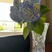 ヒメ日記 2025/05/16 11:46 投稿 倉田 ミオン 熟女・人妻マダム宮殿