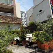 ヒメ日記 2025/05/16 17:02 投稿 倉田 ミオン 熟女・人妻マダム宮殿