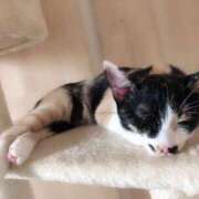 ヒメ日記 2025/05/17 14:50 投稿 倉田 ミオン 熟女・人妻マダム宮殿