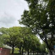 ヒメ日記 2025/05/22 11:31 投稿 倉田 ミオン 熟女・人妻マダム宮殿