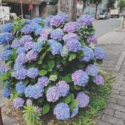 ヒメ日記 2025/05/23 09:45 投稿 倉田 ミオン 熟女・人妻マダム宮殿