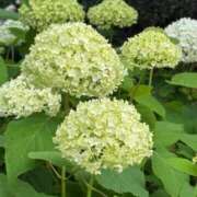 ヒメ日記 2025/05/28 16:52 投稿 倉田 ミオン 熟女・人妻マダム宮殿