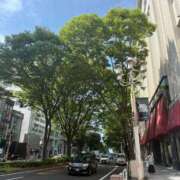 ヒメ日記 2025/06/06 16:45 投稿 倉田 ミオン 熟女・人妻マダム宮殿