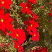 ヒメ日記 2025/06/09 18:15 投稿 倉田 ミオン 熟女・人妻マダム宮殿