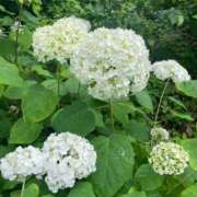 ヒメ日記 2025/06/16 11:15 投稿 倉田 ミオン 熟女・人妻マダム宮殿