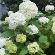 ヒメ日記 2025/06/25 11:13 投稿 倉田 ミオン 熟女・人妻マダム宮殿