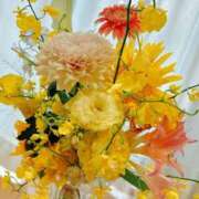 ヒメ日記 2025/06/28 09:55 投稿 倉田 ミオン 熟女・人妻マダム宮殿