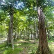 ヒメ日記 2025/06/30 13:01 投稿 倉田 ミオン 熟女・人妻マダム宮殿