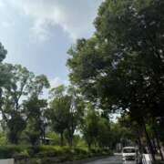 ヒメ日記 2025/07/10 07:01 投稿 倉田 ミオン 熟女・人妻マダム宮殿