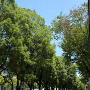 ヒメ日記 2025/07/11 07:45 投稿 倉田 ミオン 熟女・人妻マダム宮殿