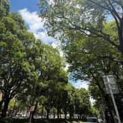 ヒメ日記 2025/07/15 09:01 投稿 倉田 ミオン 熟女・人妻マダム宮殿