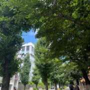 ヒメ日記 2025/07/20 17:02 投稿 倉田 ミオン 熟女・人妻マダム宮殿