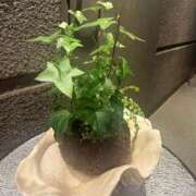 ヒメ日記 2025/07/23 09:49 投稿 倉田 ミオン 熟女・人妻マダム宮殿