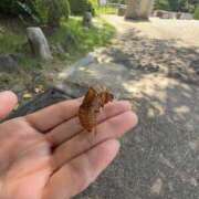 ヒメ日記 2025/07/24 14:15 投稿 倉田 ミオン 熟女・人妻マダム宮殿