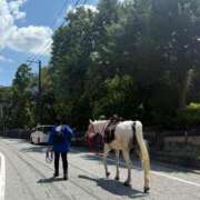 ヒメ日記 2025/07/24 17:15 投稿 倉田 ミオン 熟女・人妻マダム宮殿