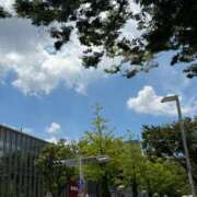 ヒメ日記 2025/07/30 17:45 投稿 倉田 ミオン 熟女・人妻マダム宮殿