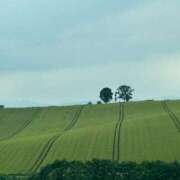 ヒメ日記 2025/08/05 20:01 投稿 倉田 ミオン 熟女・人妻マダム宮殿