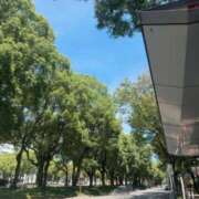 ヒメ日記 2025/08/08 11:01 投稿 倉田 ミオン 熟女・人妻マダム宮殿