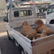 ヒメ日記 2025/08/09 13:00 投稿 倉田 ミオン 熟女・人妻マダム宮殿