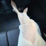 ヒメ日記 2025/08/15 19:29 投稿 倉田 ミオン 熟女・人妻マダム宮殿