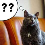 ヒメ日記 2025/08/17 23:00 投稿 倉田 ミオン 熟女・人妻マダム宮殿