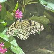 ヒメ日記 2025/08/21 07:01 投稿 倉田 ミオン 熟女・人妻マダム宮殿