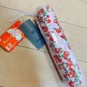 ヒメ日記 2025/08/28 12:03 投稿 倉田 ミオン 熟女・人妻マダム宮殿