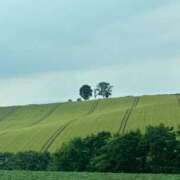 ヒメ日記 2025/09/06 11:32 投稿 倉田 ミオン 熟女・人妻マダム宮殿